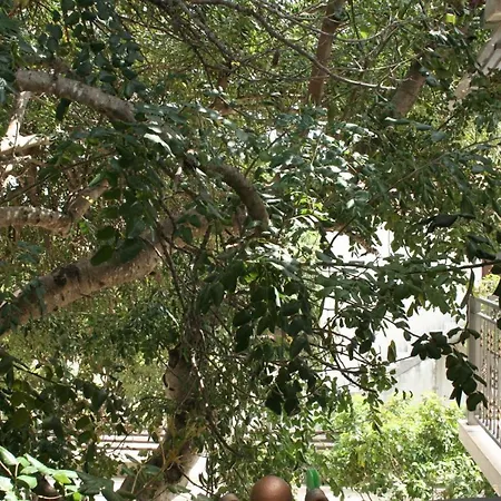 By The Sea Orebic, Peljesac - 4490 דירה *